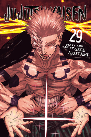 Jujutsu Kaisen Graphic Novel Volume 29