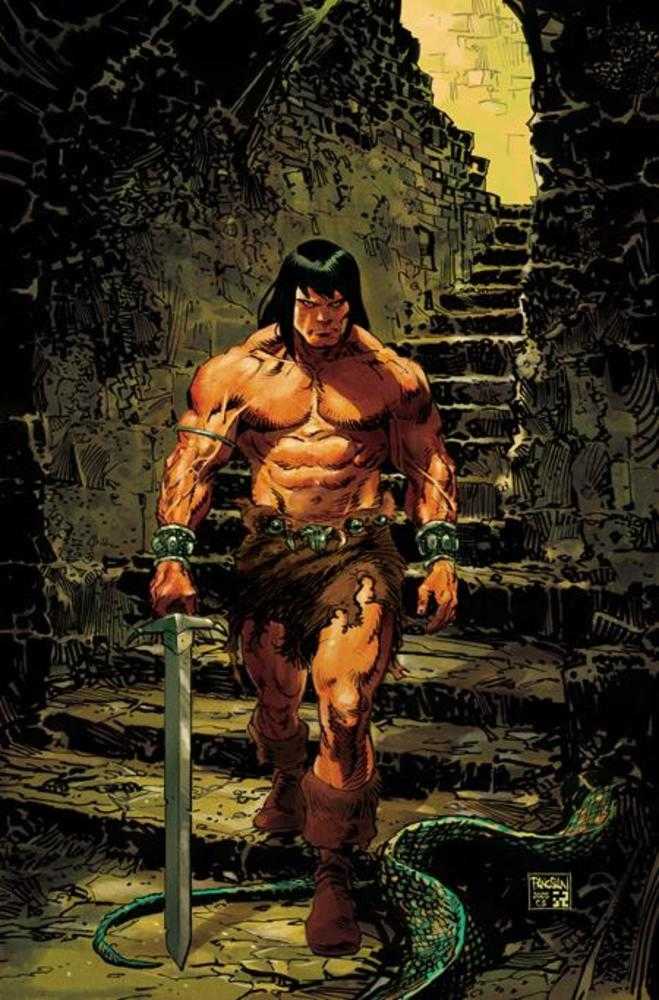 Conan The Barbarian (2023) #24 Cover E Dan Panosian Full Art Variant (Mature)