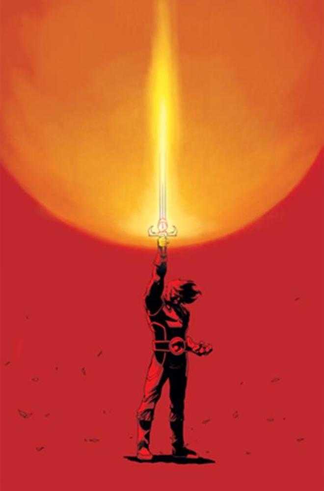 Thundercats (2024) #21 Cover K (1:15) Declan Shalvey Full Art Virgin Variant