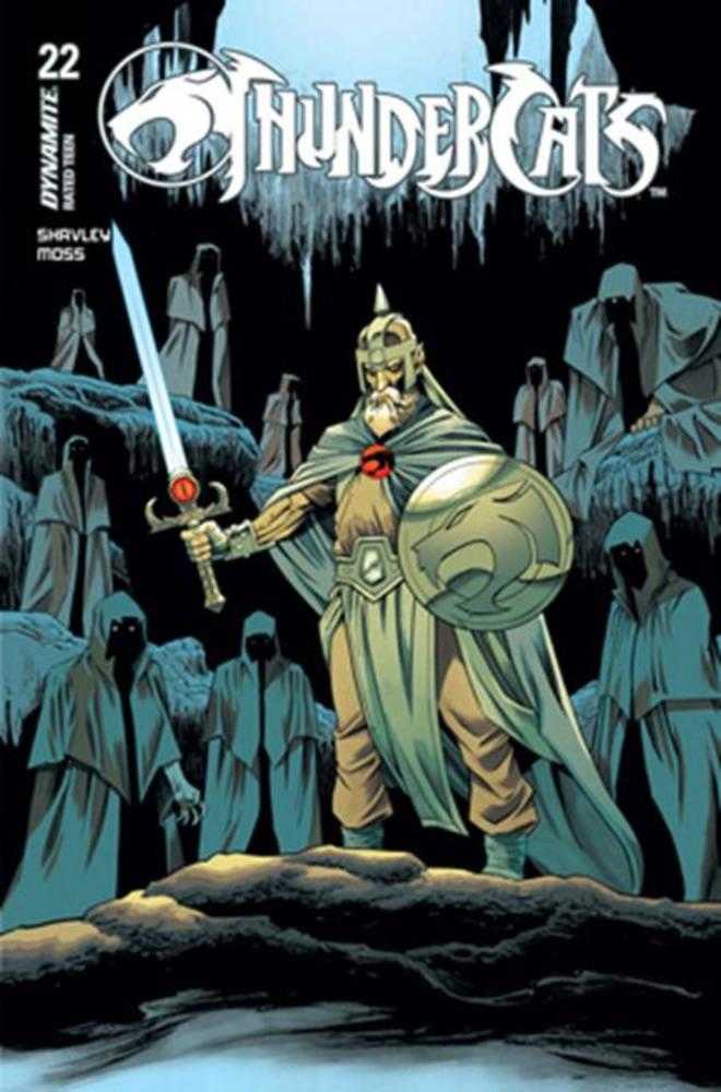 Thundercats (2024) #22 Cover B Declan Shalvey Variant