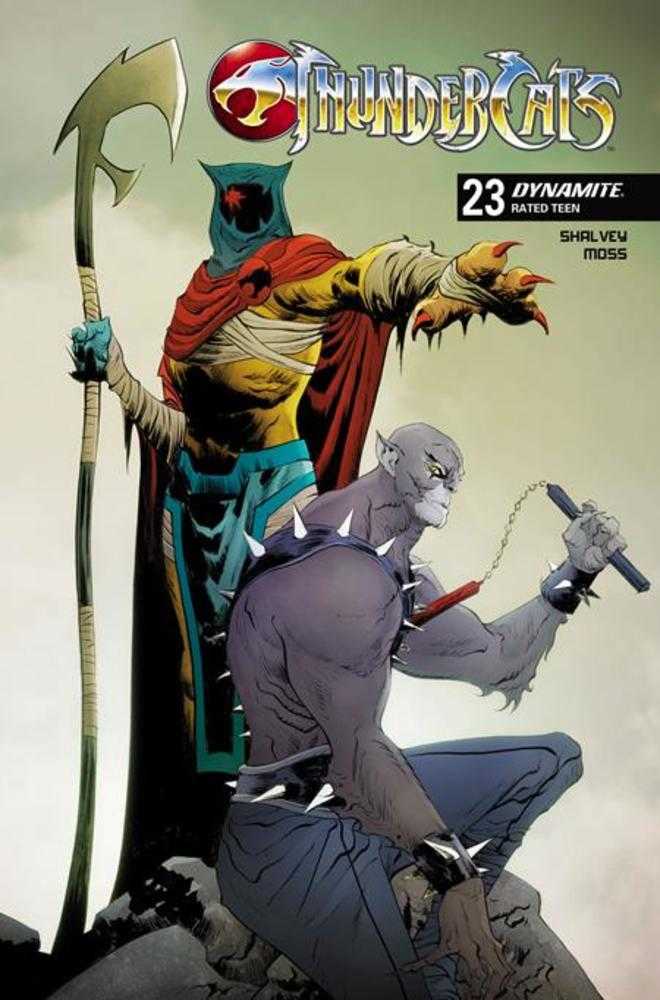 Thundercats (2024) #23 Cover C Jae Lee Variant