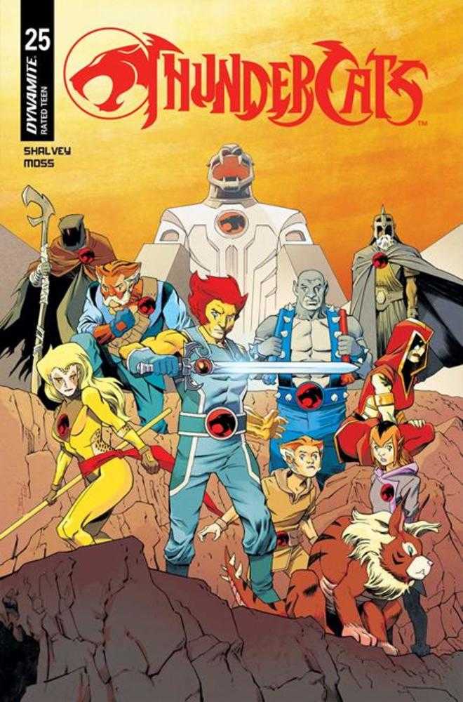 Thundercats (2024) #25 Cover B Declan Shalvey Variant