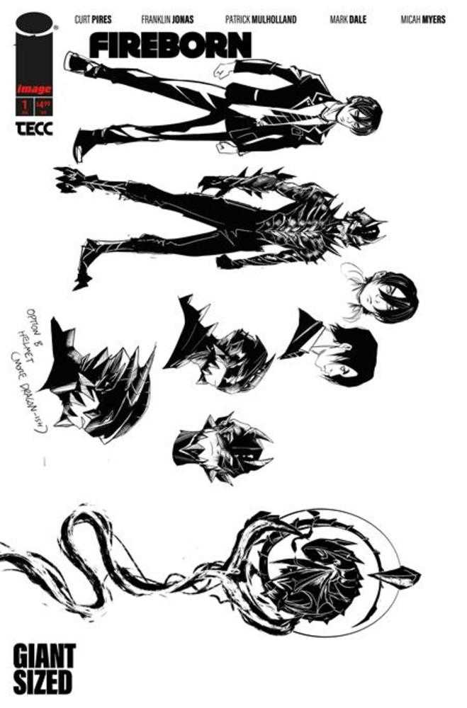 Fireborn #1 Cover F (1:15) Patrick Mulholland Design Variant