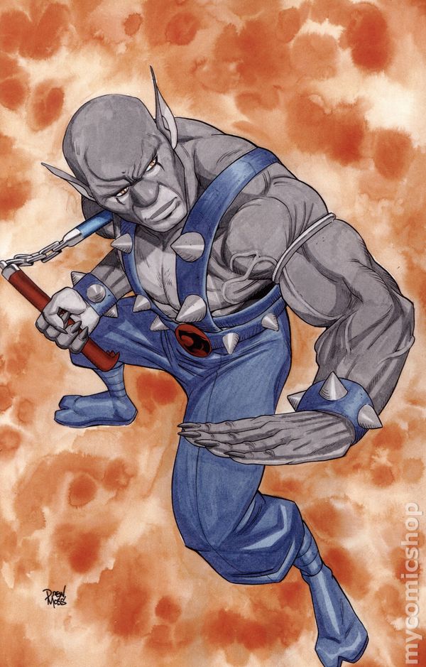 Thundercats (2024) #17 Cover P (1:15) Drew Moss Full Art Virgin Variant