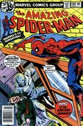 Amazing Spider-Man (1963) #189 Newsstand VG