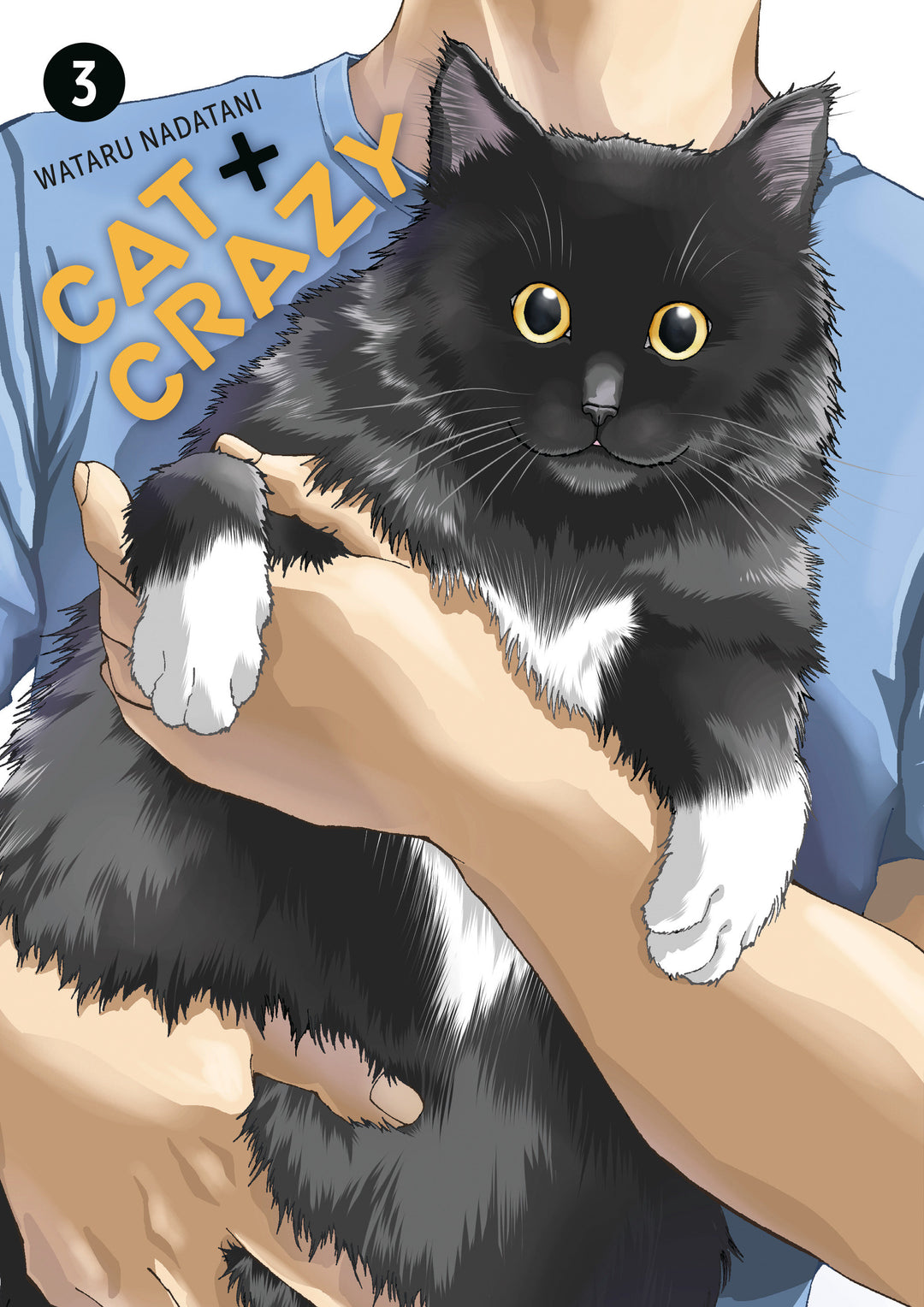 Cat + Crazy Graphic Novel Volume 03