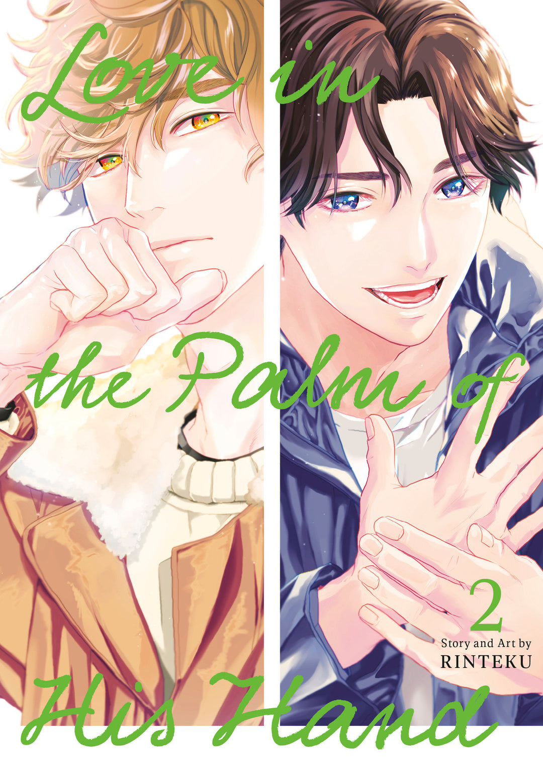 Love In The Palm Of His Hand Graphic Novel Volume 02