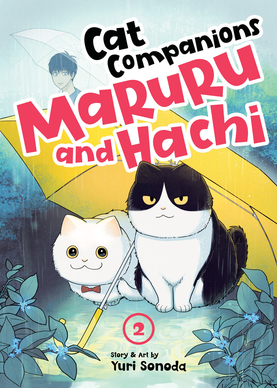 Cat Companions Maruru & Hachi Graphic Novel Volume 02