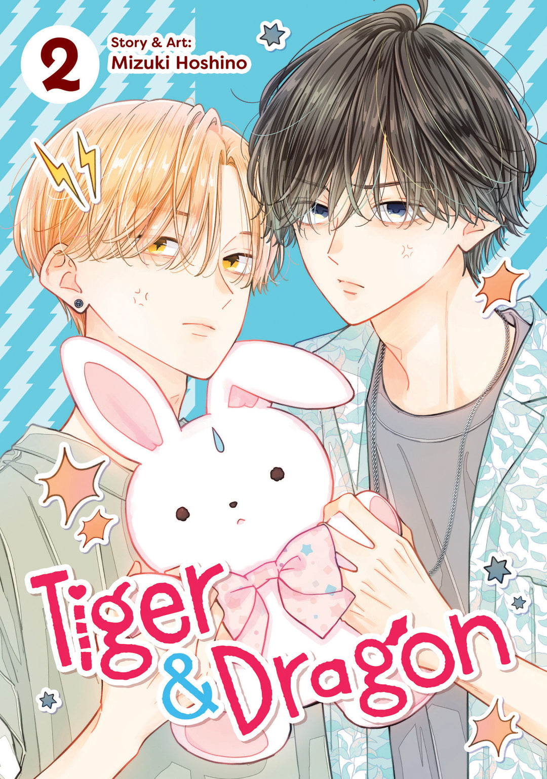 Tiger And Dragon Volume. 2