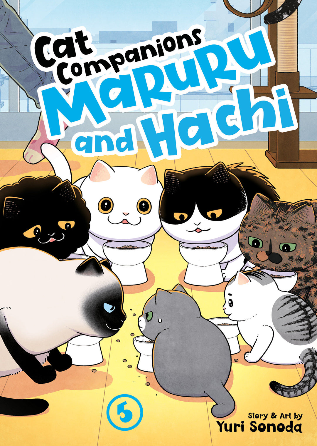 Cat Companions Maruru And Hachi Graphic Novel Volume 05
