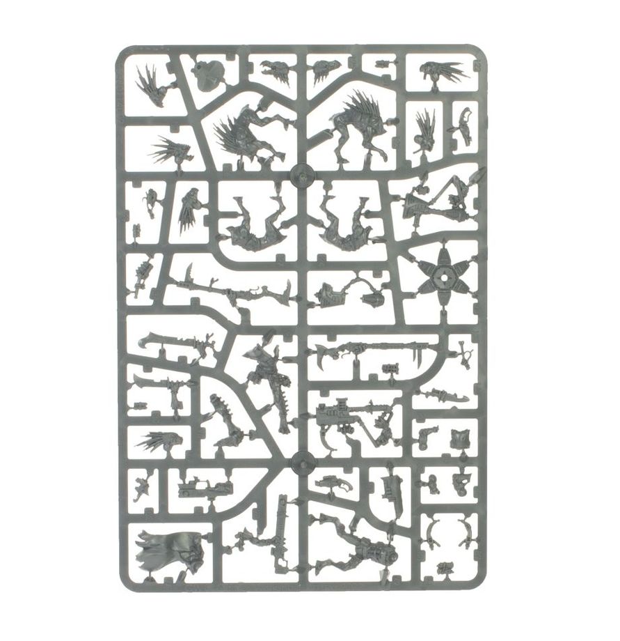 Warhammer 40k: Kroot - Combat Patrol