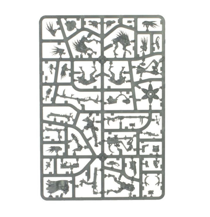 Warhammer 40k: Kroot - Combat Patrol