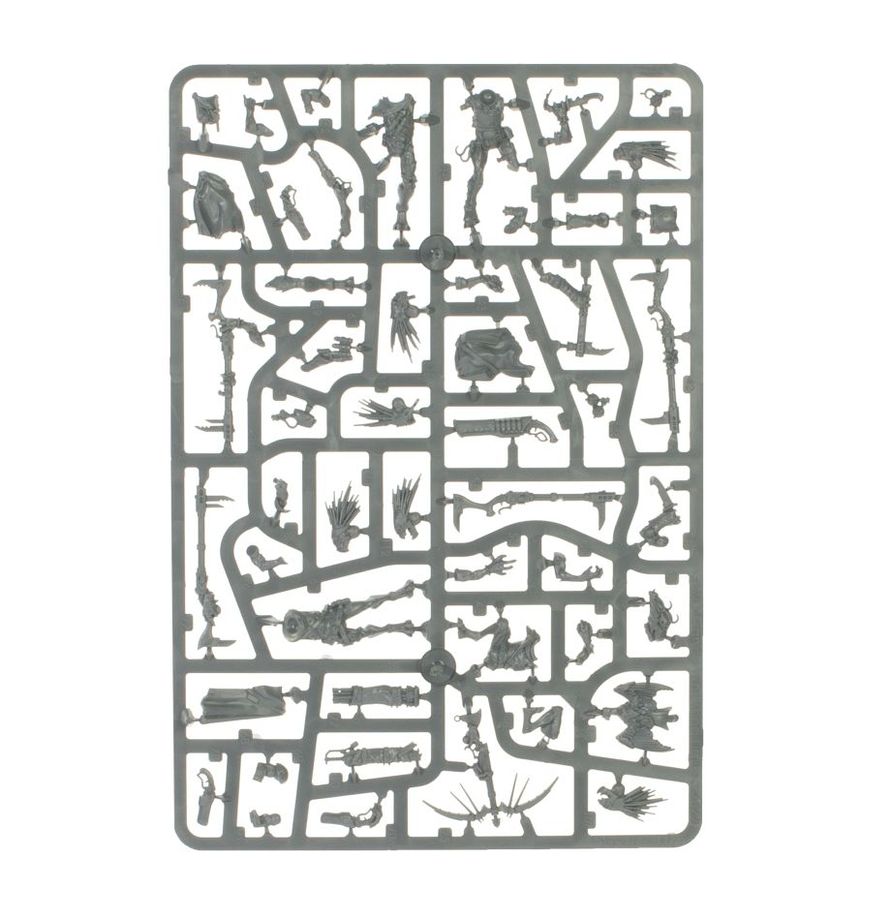 Warhammer 40k: Kroot - Combat Patrol