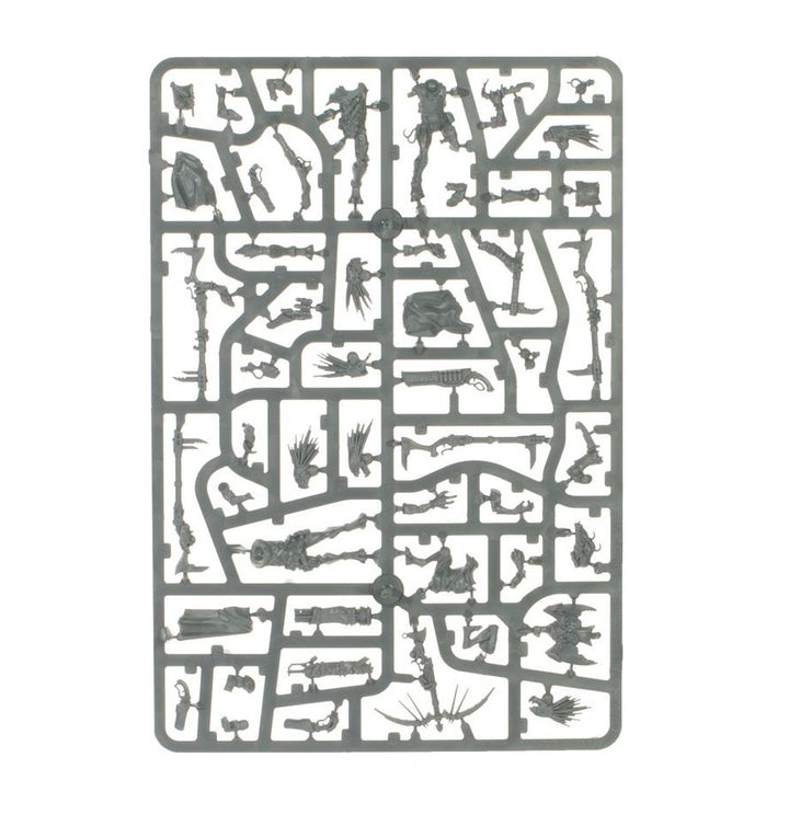 Warhammer 40k: Kroot - Combat Patrol