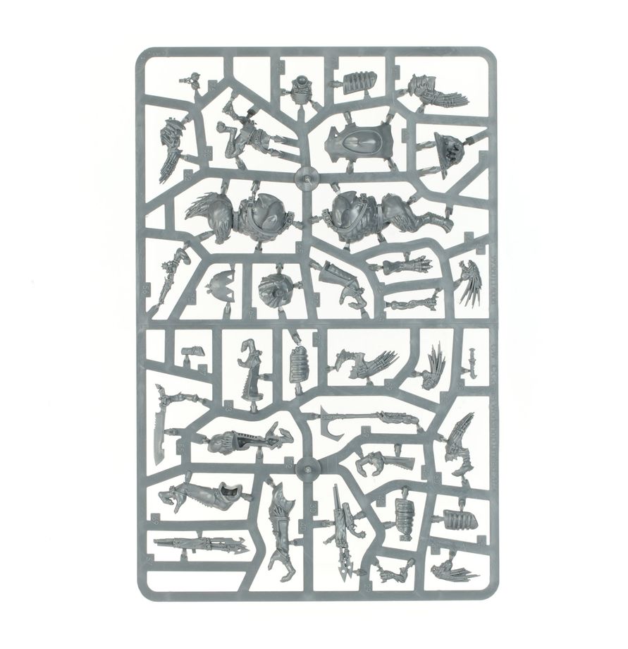 Warhammer 40k: Kroot - Combat Patrol