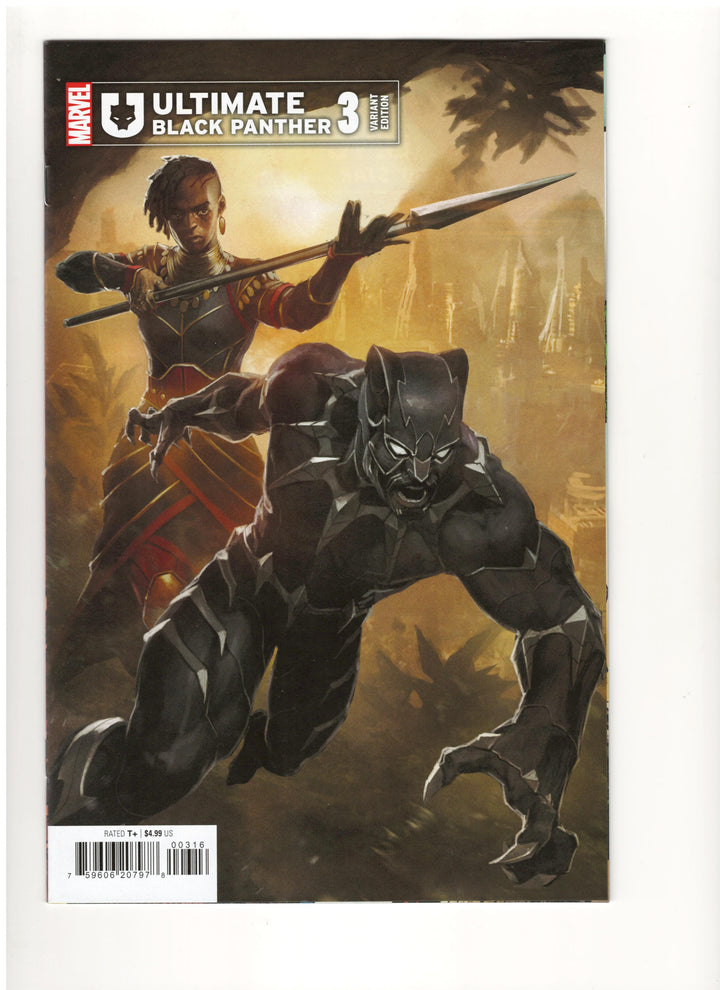 Ultimate Black Panther (2024) #3 Variant (1:25) Skan Edition