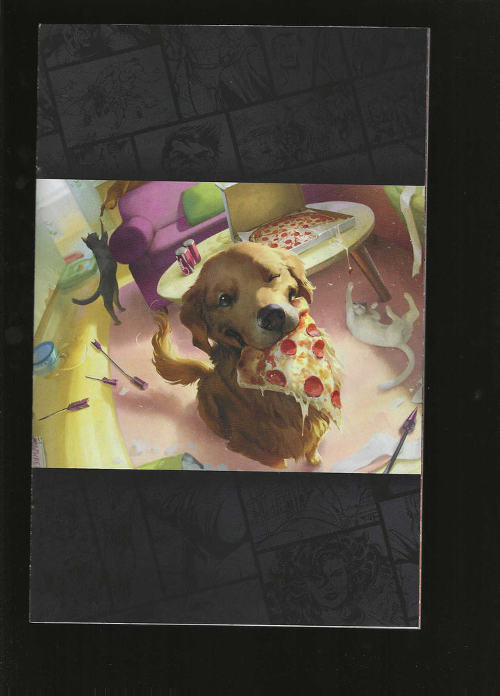 Jay & Silent Bob Jays Of Future Past #1 Variant (1:50) Classified Artist Magic The Gathering Full Art Virgin Edition