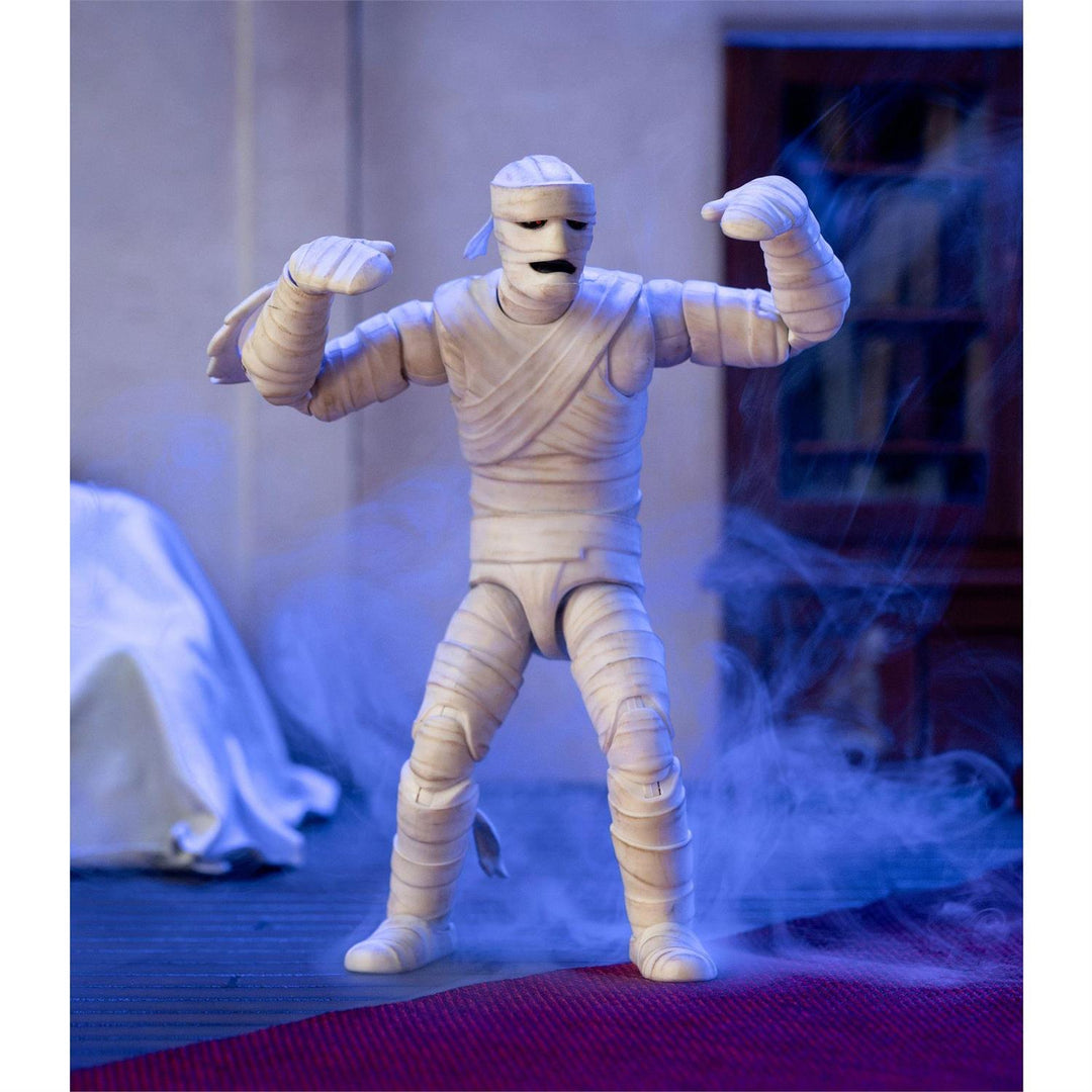 Scooby Doo: Wave 1 - Mummy Of Ankha (Action Figure)