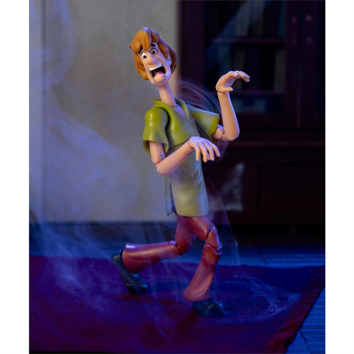 Scooby Doo: Wave 1 - Shaggy (Action Figure)