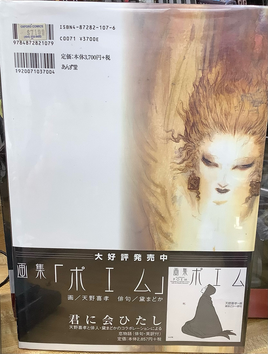 Symphony - Yoshitaka Amano Hardcover