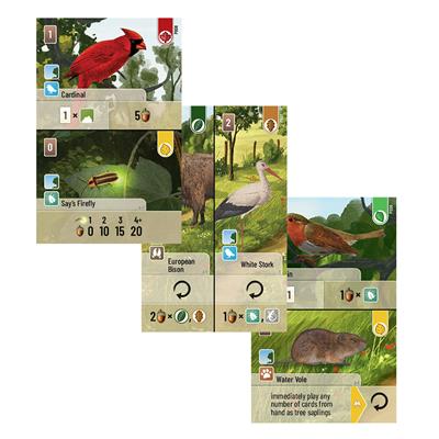 Forest Shuffle: Exploration (2026)