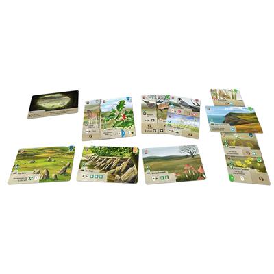 Forest Shuffle: Dartmoor - Exmoor (2026)