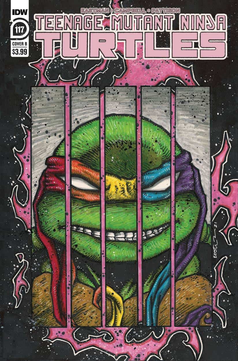 Teenage Mutant Ninja Turtles (2011) #117 Cover B <BINS>