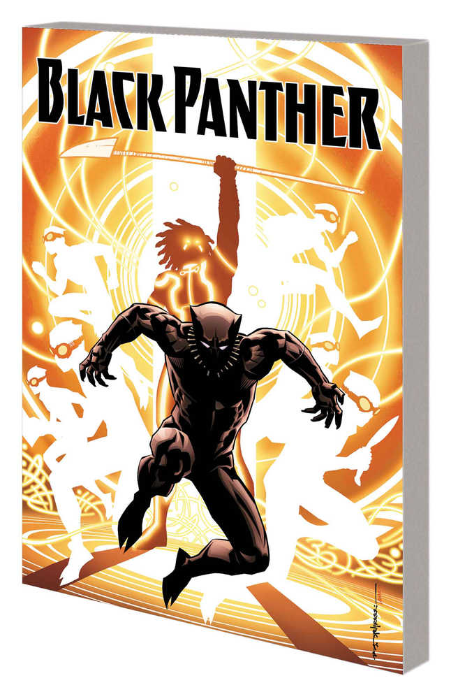 Black Panther TPB Book 02 Nation Under Our Feet