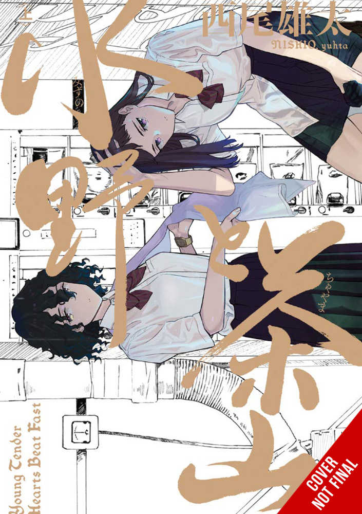 Mizuno & Chayama Graphic Novel (Mature)