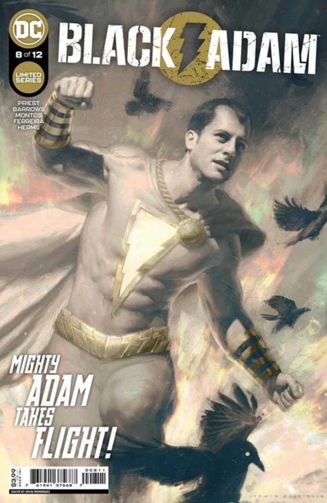 Black Adam (2022) #8 (Of 12) Cover A Irvin Rodriguez