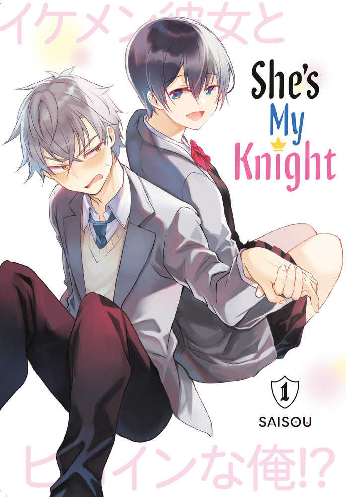She's My Knight Graphic Novel Volume 01