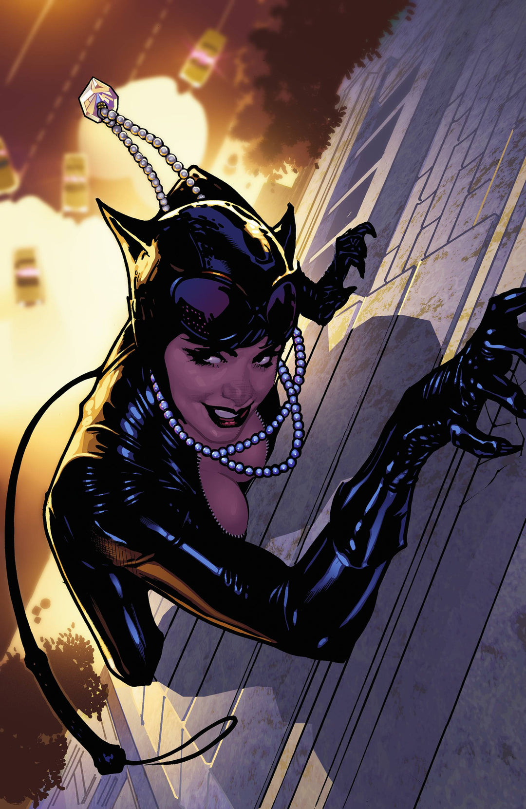 CATWOMAN THE LONG ROAD HOME TP