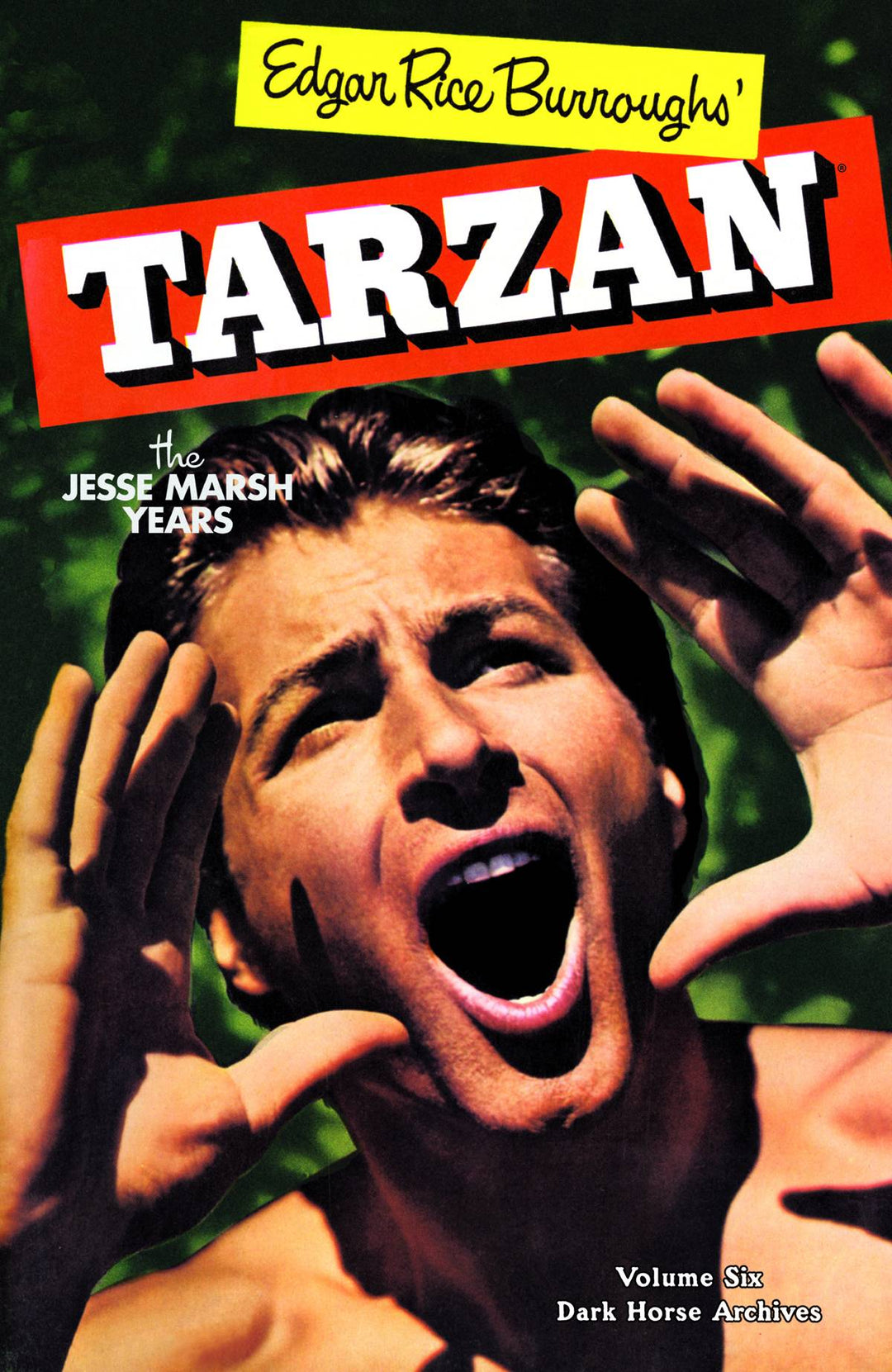 Tarzan The Jesse Marsh Years Hardcover Volume 06