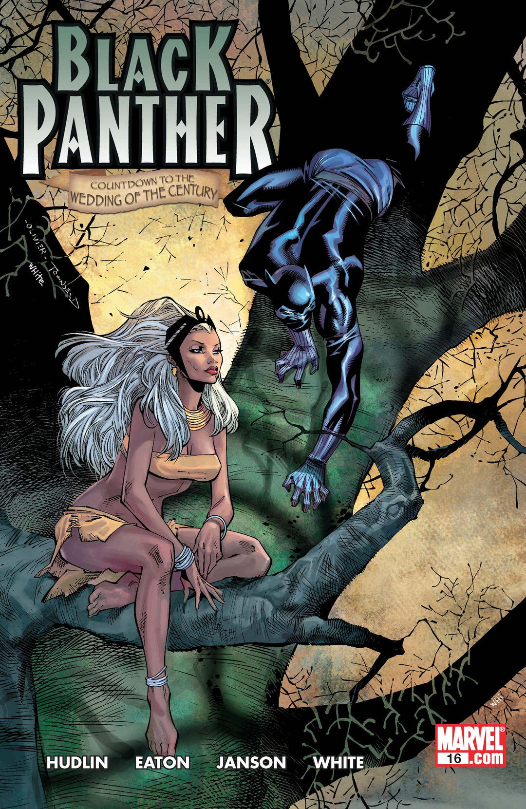 Black Panther (2005) #16 <BINS> <OFC>